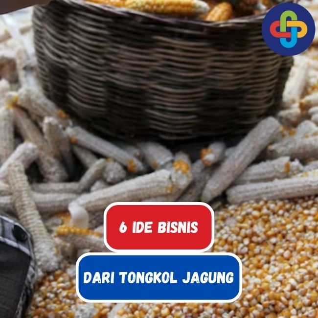 Ide Bisnis Dengan Tongkol Jagung, Bisa Mendatangkan Untung Melimpah